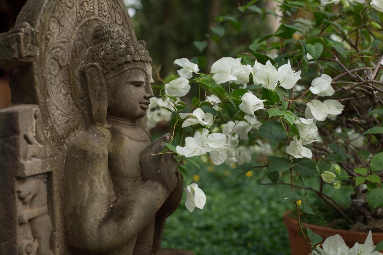Somatheeram Ayurveda Village 4*